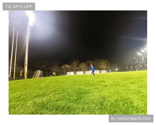 人工草场影响判罚吗？规则如何界定场地条件对比赛的影响