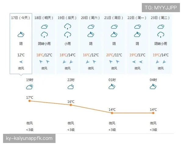 足球天气中断规则详解：哪些情况必须暂停比赛？